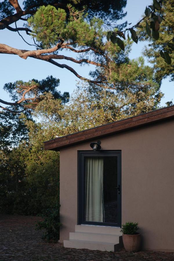 A Padaria Farmhouse Cinfães Exterior foto